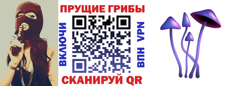 Купить где  Медногорск  Галлюциногенные грибы GOLDEN TEACHER 